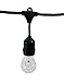 String Light Company Vintage 48-Ft Outdoor Commercial String Lights with 15 Suspended Sockets, 14 Gauge Black Cord (Bulbs not Included)