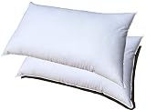 Pillowflex Set of 2 16x20 Pillow Form Inserts, Premium Polyester Filled, Machine Washable, Oblong Rectangle Lumbar, Made in USA