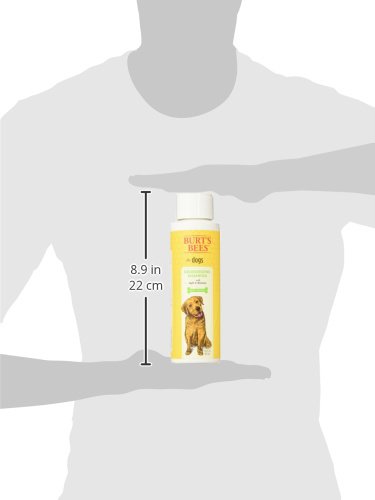 Burt's Bees for Dogs Deodorizing Shampoo with Apple and Rosemary, 16 Ounces