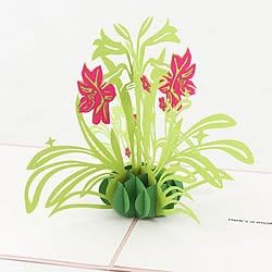 PaperPopCards, Garden Flowers - Amazing 3D Greeting Card