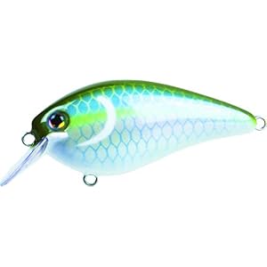 Strike King Kvd1.5 Carré Bill Crankbait, Sexy Vert Shad, 2 1/5,1 Cm/7/453,6 Gram