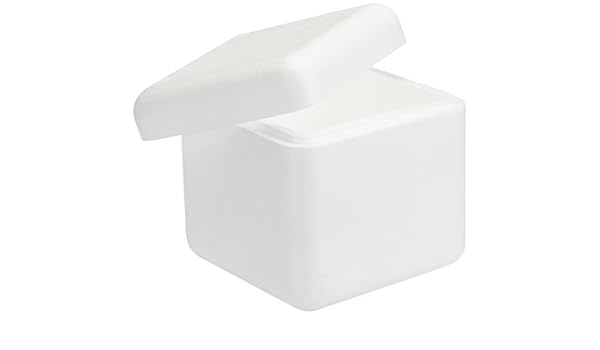 Porexpan 30-0290 Caja Hielo Seco 25: Amazon.es: Hogar