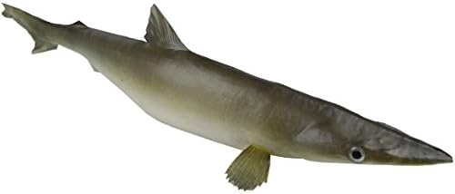 Greatflower Pack of 1 Artificial Paul Shark Lifelike and Realtouch PU Fish for Fish Tank or the Aquarium Restaurant Hotel Display