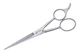 Stainless 2000 51/2 Shears