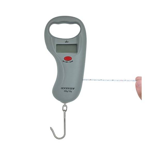 Goodview-Portable-Backlit-LCD-Display-Digital-Fishing-and-Luggage-Hanging-Hook-Scale-with-Measuring-Tape