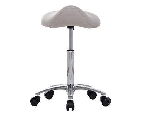 FRNIAMC Hydraulic Saddle Rolling Adjustable, Heavy-Duty (350 lbs) Stool Chair for Beauty Salon Massage Dental Clinic Office(Light Grey)