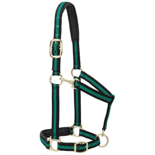 Weaver Leather Padded Adjustable Nylon Horse Halter, Green, 1 Average Horse