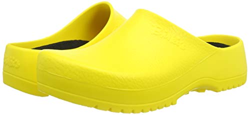 super birki yellow flower