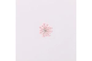 YUNZHI 100pcs/pack Ammi majus Natural Pressed Dried Flower for Resin Jewelry Making, Soap and Candle Making, Scrapbooking DIY (Pink)