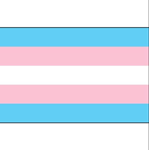 Gay Rainbow Sisters Flag Sticker Transgender Pride Flag