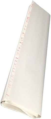 INKSTON 1603 Plus Xuan Paper (10 large sheets 1603 plus 1 Expert 3338 Plus)