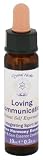 Crystal Herbs - Divine Harmony Essences Integrating Spirit Loving Communication - 0.3 oz. by Crystal Herbs