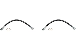 AUTO DN Rear Left Right Side Brake Line Brake Hose Kit Fits Aurora 1999 2001 2002 2003 Fits Bonneville 2000-2005 Fits DeVille 2000-2005 Fits LeSabre 2000-2005 Fits Park Avenue 1999-2005 Fits Riviera 1999