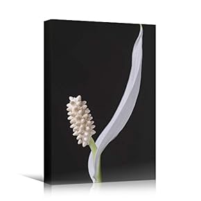 signwin Canvas Wall Art White Flower Portraiture Colorful...