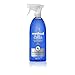 Method Glass Cleaner + Surface Cleaner, Mint, 28 Ounce