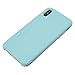 Soft Liquid Silicone iPhone X Cover Case Inner Soft Microfiber Cloth Lining Cushion for Apple iPhone X/10 5.8inch (Mint)