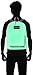 JanSport T501 Superbreak Backpack - Green