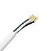 BCQLI US Plug 3Core Lamp Cord Has Button Switch, Plug, Stripped Ends Ready for Wiring -9.8 Feet White