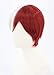 Topcosplay Anime Cosplay Wig Grey and Red Short Halloween Costume Wigs