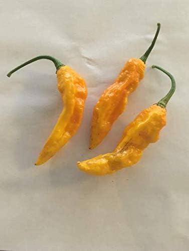 Seeds Strain Extreme Heat Chili Pepper Combo World's Hottest Rare Pepper Seeds Get 4 Varian #MCH01YN
