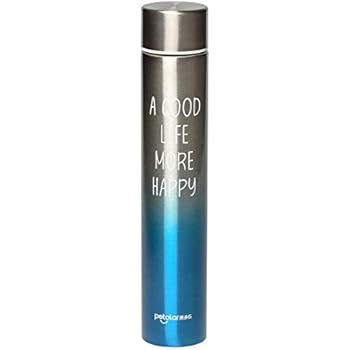 Double Wall Vacuum Insulated Water Bottle, 18/8 Stainless Steel Leak Proof Thermos Bottle, Keep Water or Coffee Hot/Cold for up to 24 Hours, Gradual Color, Great Gift (Gradual Grey - Purple)