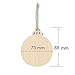 10 Pcs Wood Tag Unfinished Wooden Star Cutouts And 10 Pcs Round Blank Wood Discs Bulk with Holes with string for Kids Crafts Christmas Tree Ornaments Hanging Gift Tags Accent ,Wedding Day