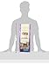 NUTRO Indoor Cat Adult Dry Cat Food, White Fish & Whole Brown Rice, 6.5 lbs.