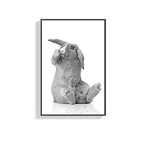 NWT Framed Canvas Wall Art for Living Room,...