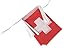 TSMD Switzerland Flag, 100 Feet Swiss Flag National Country World Pennant Flags Banner String,Party Decorations for Grand Opening,Olympics,Bar,School Sports Events,International Festival Celebration