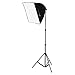 DayFlo EZ Lite 3-Fixture Lighting Kit - Portable 3 Light Portrait & Small Group Studio Setup for Photo and Video with 3x 70w bulbs, 3x 24x24 Softboxes, 2x 6ft Stands, 1x Boom Stand and 1x Travel Case