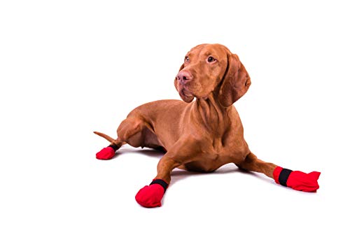 Non-stop dogwear Paw Protectors Dog Booties for Sledding, Long Distance Sock for Mushing, Hiking, Injuries, First Aid, Clean Paws, Clean Carpet & More (12-Pack Medium)