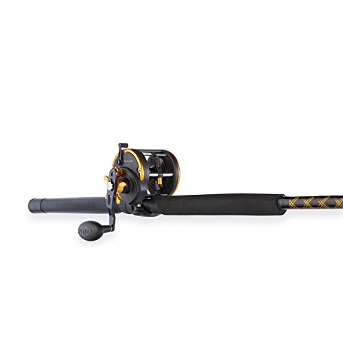 penn fishing rod amazon Rampage Boat Casting and EVA grips for a comfortable fish fighting experience PENN Rival Level Wind Combo,