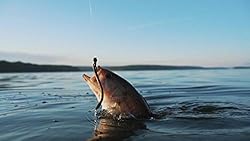 Berkley Powerbait Fatty Bottom Hopper Worm Fishing