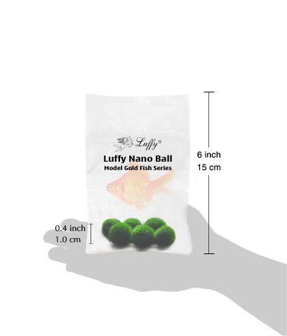 Luffy 6 Nano Moss Balls - 0.6" Marimo for Community Fish Tanks - Absorbs Nitrates & Provides Oxygen in Aquarium: Needs Minimal Care: Perfect for Neon, Tetra, Guppies, Playts & Molly - Thumbnail 6