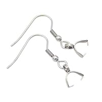 erioctry 50PCS Stainless Steel Earring Hooks - Ear Wire Buckle DIY Jewelry Making Pendant Clasp Fish Hooks