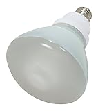 Satco S7241 23-Watt Medium Base R40 Reflector, 2700K, 120V, Equivalent to 85-Watt Incandescent Lamp with Energy Star Rated - 2 Pack
