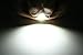 ENDPAGE DE3175 DE3021 DE3022 3175 LED Bulb White 6000K Super Bright 31mm Festoon Canbus Error Free, 2-pack, Work as Interior Dome Map Lights, Door Courtesy Lights, Trunk Lights, License Plate Lights