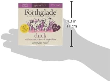 sainsburys forthglade