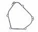 Briggs & Stratton 699485 Crankcase Gasket Replacement for Models 555525, 692549 and 273661 primary