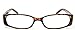 5-Pack Spring Hinge Reading Glasses Women Includes Sun Readers +1.50