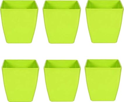 Airex Plastic Indoor/Outdoor Planter/Table top Planter/Plant Container/Flower Pot (2-inch, Multicolor, Pack of 6)