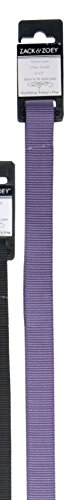 Zack & Zoey Basic Nylon Dog Leash, 6-Feet x 1-Inch Lead, Ultra Violet