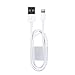 DBPOWER USB Cable 3ft /1M for Apple iPhone 6s 6 Plus 5s 5c 5, iPad Pro Air 2, iPad mini 4 3 2, iPod touch 5th gen / 6th gen / nano 7th gen (White)