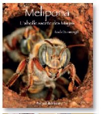 Melipona, L'Abeille Sacrée Des Mayas (French Edition) by Domerego Roch