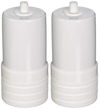 Aqua-Pure AP217 2 Pk. Replacement Cartridge for Drinking Wat