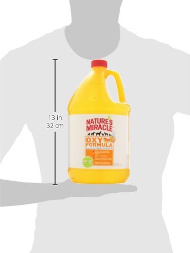 Nature’s Miracle Dog Stain And Odor Remover, Oxy Formula, With Fresh Orange Scent, 1 Gallon