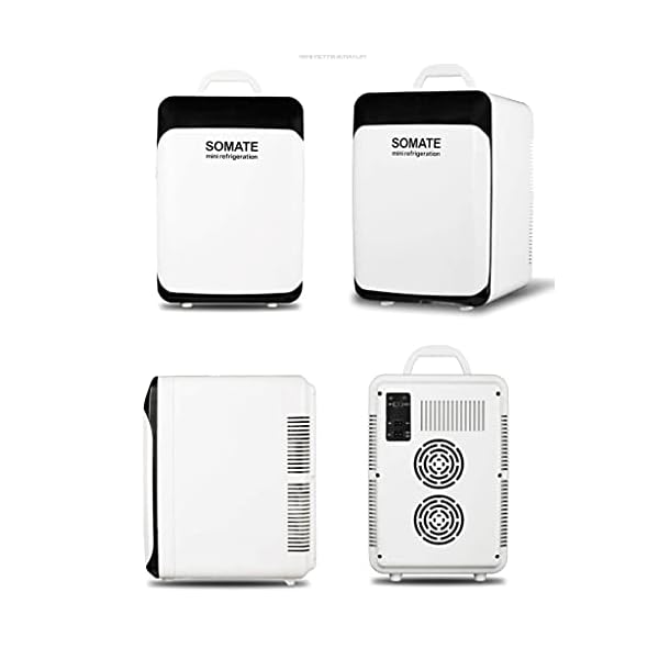 YANJ Car Refrigerator-18L Mini Fridge 12v 220v,Cooler and Warmer LOLDF1