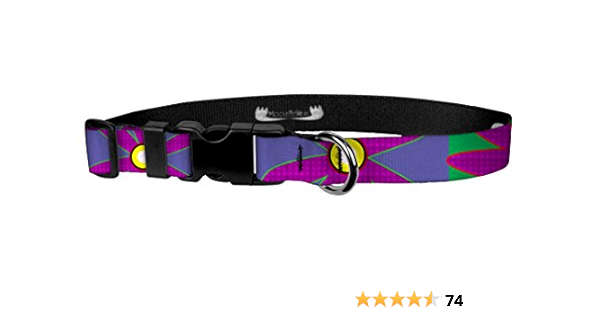 floral print dog collar