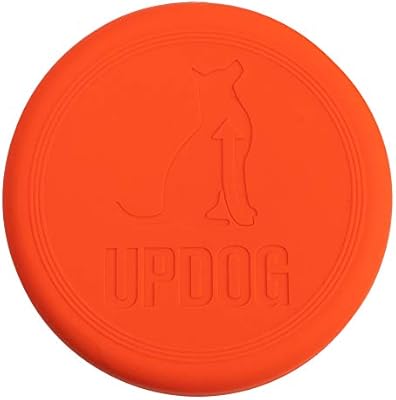 up dog frisbee