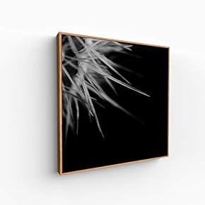 Canvas Wall Art for Living Room, Bedroom Monochrome Image Framed Canvas Prints for Home Decoration Ready to Hang - 16x16 inches